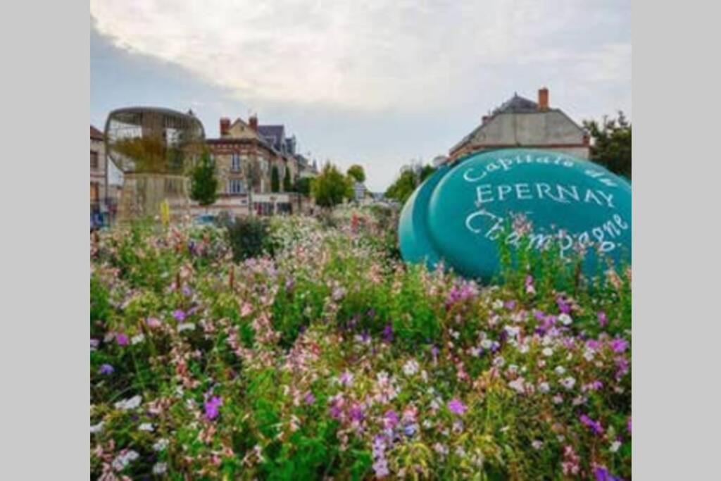 Épernay Suite Premium Le Figaro 2 מראה חיצוני תמונה